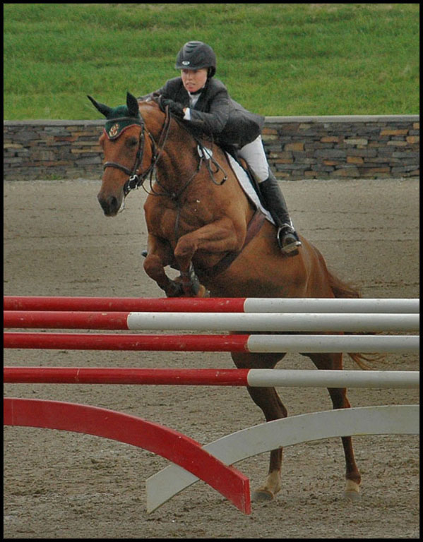 Brown beauty jumping copy